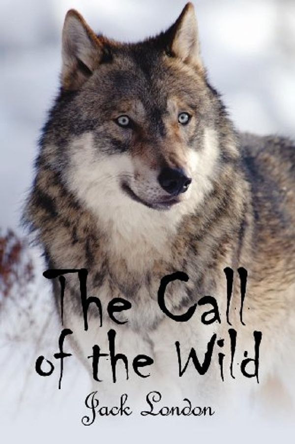 Cover Art for 9781613820797, The Call of the Wild by Jack London