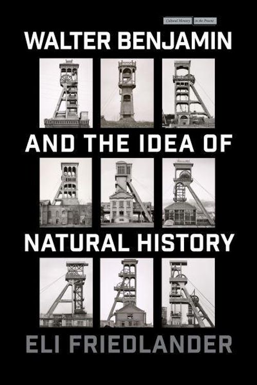 Cover Art for 9781503637702, Walter Benjamin and the Idea of Natural History by Eli Friedlander