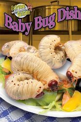 Cover Art for 9781597167581, Baby Bug Dishes by Meish Goldish