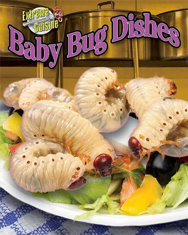 Cover Art for 9781597167581, Baby Bug Dishes by Meish Goldish