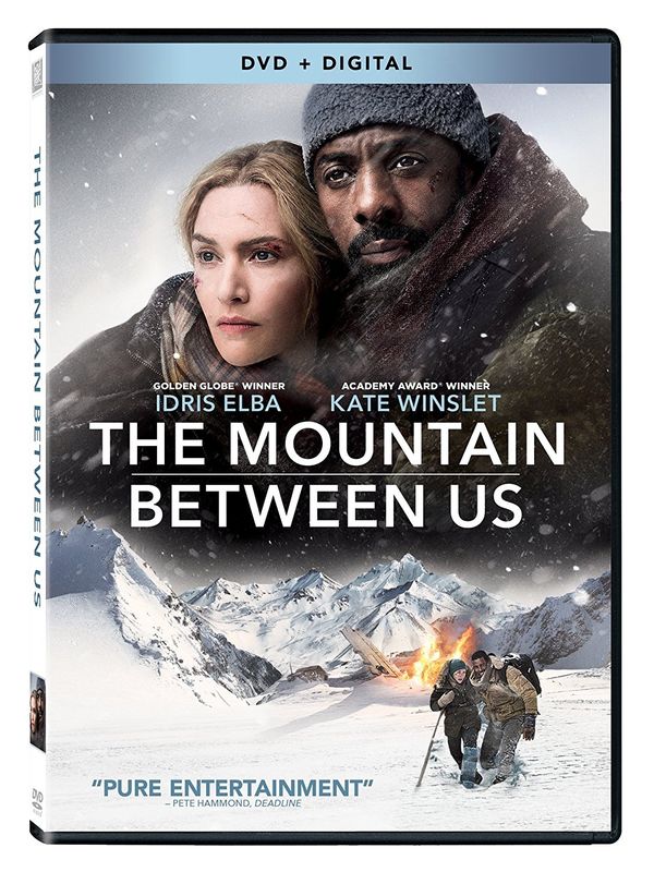 Cover Art for 0024543417019, The Mountain Between Us [DVD] by 