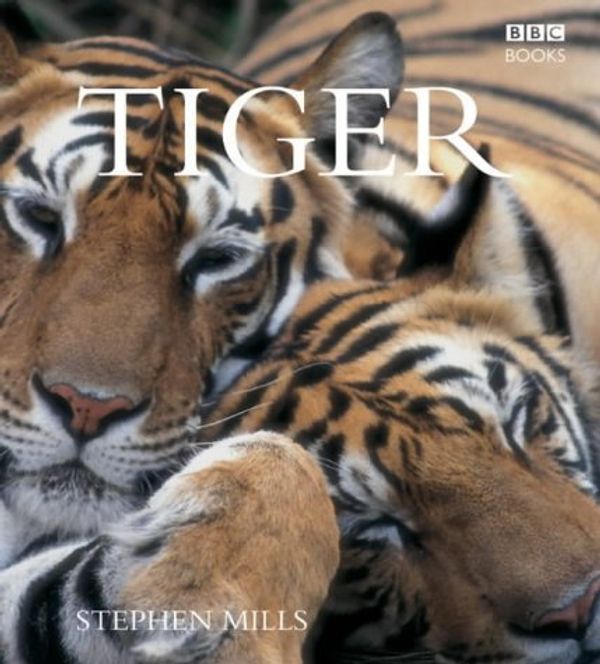Cover Art for 9780563488736, Tiger by Stephen Mills
