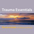 Cover Art for 9780393706857, Trauma Essentials by Babette Rothschild