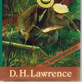 Cover Art for 9780521432214, D. H. Lawrence: 'Sons and Lovers' Trade edition by D. H. Lawrence