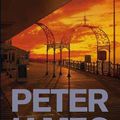 Cover Art for 9780330546003, Not Dead Enough by Peter James