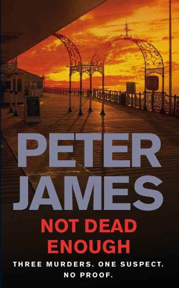 Cover Art for 9780330546003, Not Dead Enough by Peter James