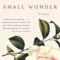 Cover Art for 9780060504083, Small Wonder by Barbara Kingsolver