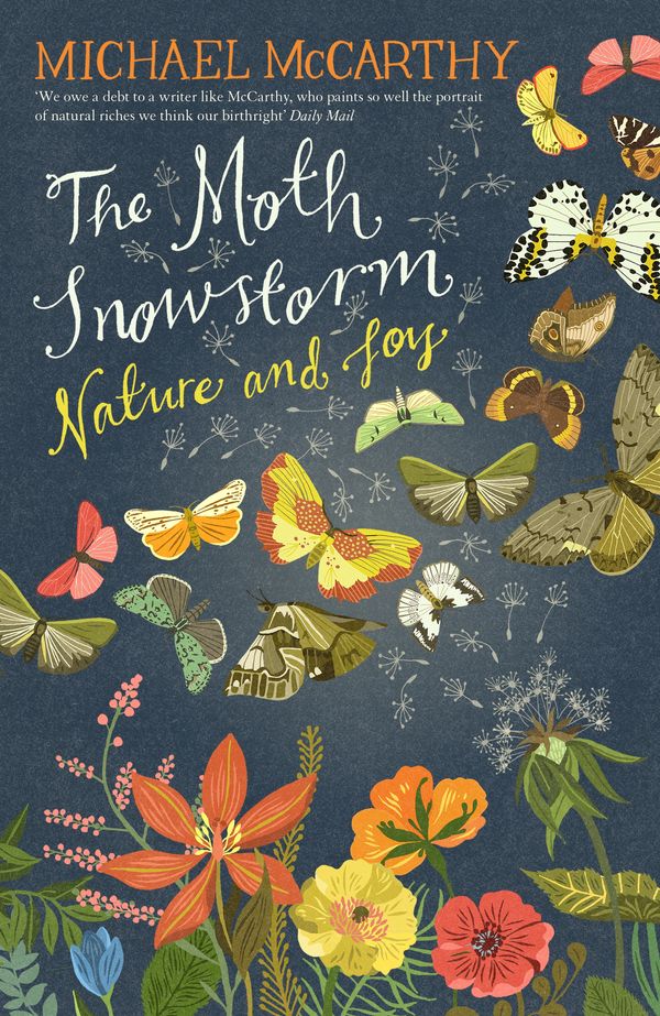 Cover Art for 9781444792775, The Moth Snowstorm by Michael McCarthy