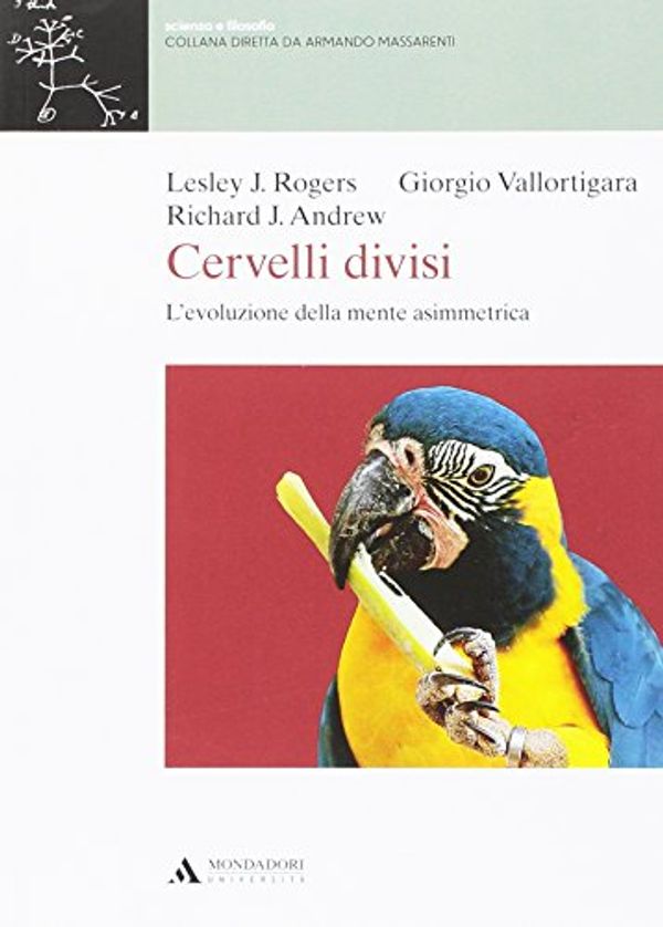 Cover Art for 9788861844643, Cervelli divisi. L'evoluzione della mente asimmetrica by Richard J. Andrew, Lesley J. Rogers, Giorgio Vallortigara