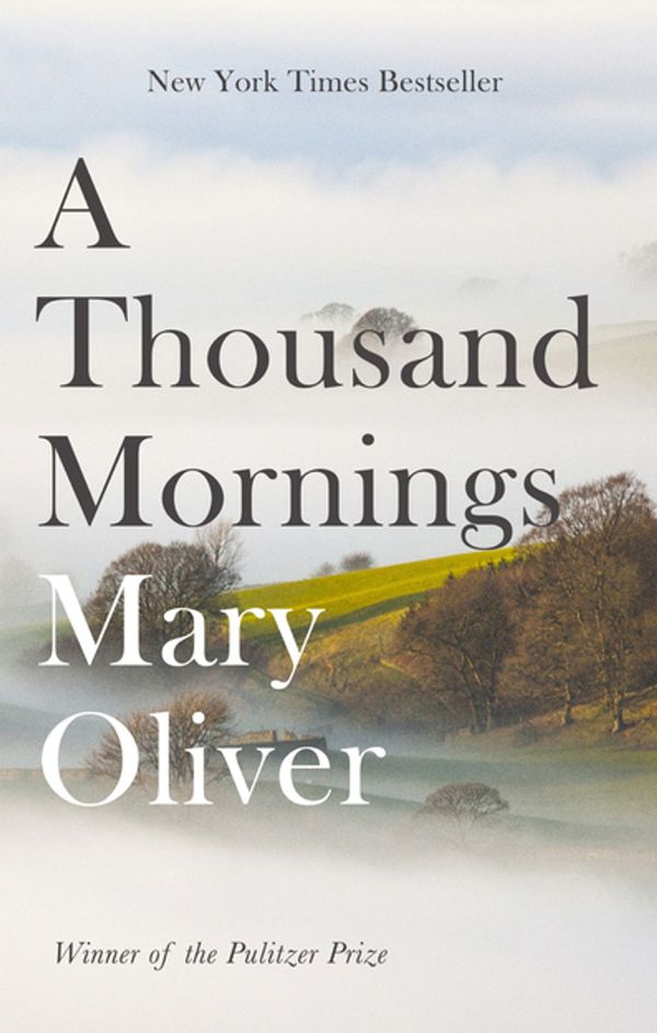 Cover Art for 9781472153777, A Thousand Mornings by Mary Oliver