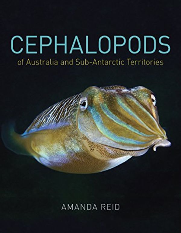 Cover Art for 9781486303953, Cephalopods of Australia and Sub-Antarctic Territories by Amanda Reid