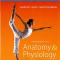 Cover Art for 9780321741677, Study Guide for Fundamentals of Anatomy & Physiology by Frederic Martini, Judi Nath, Edwin Bartholomew, Charles Seiger