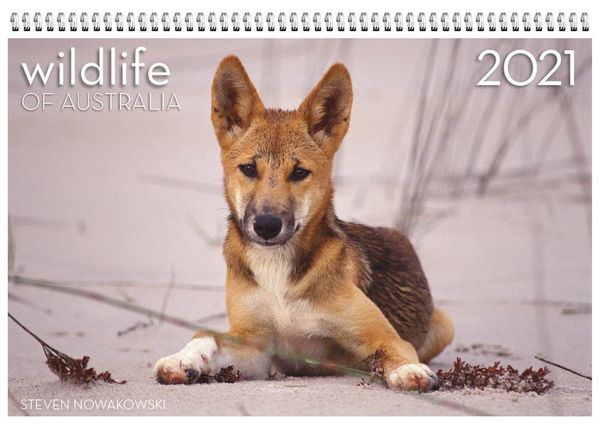 Cover Art for 9780648774440, Wildlife of Australia 2021 Wall Calendar by Steven Nowakowski and Stanley Breeden