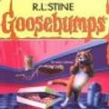Cover Art for 9780590114769, My Best Friend is Invisible by R. L. Stine