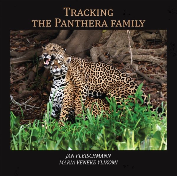 Cover Art for 9781788481175, Tracking the Panthera family by Jan Fleischmann, Maria Veneke Ylikomi