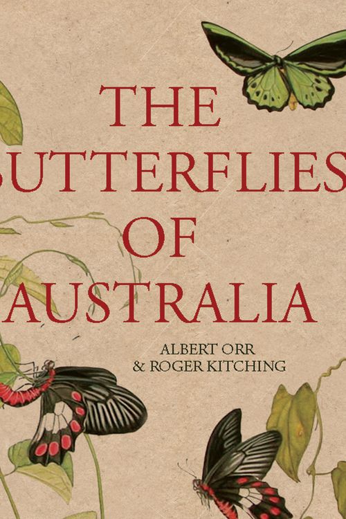 Cover Art for 9781741751086, The Butterflies of Australia by Albert Orr
