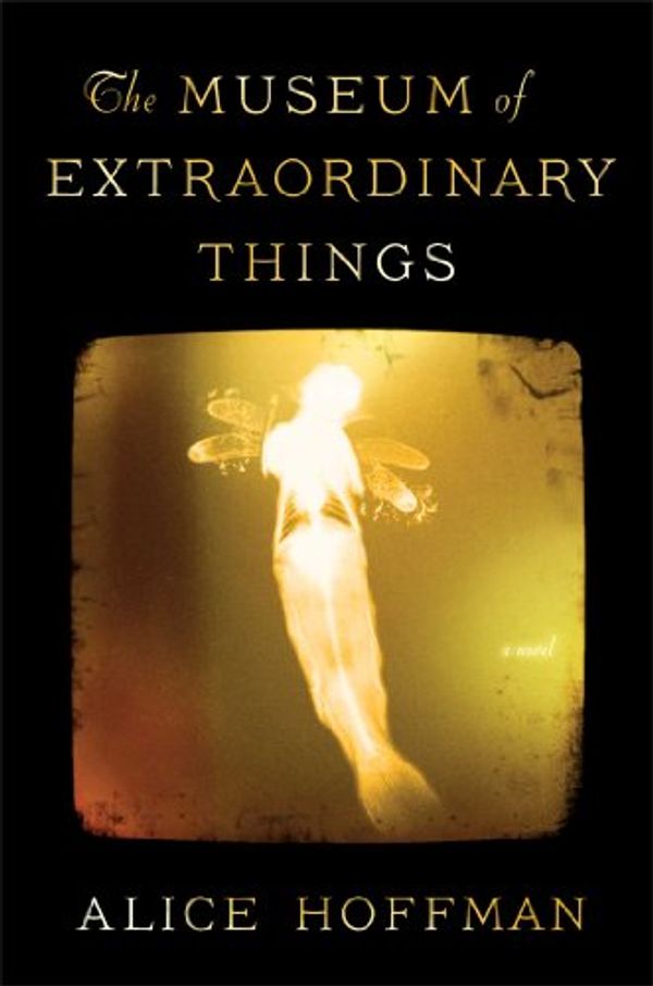 Cover Art for 9781451693560, The Museum of Extraordinary Things by Alice Hoffman