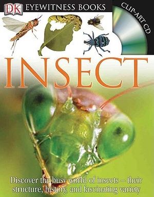 Cover Art for 9780756630041, Insect by Laurence Mound