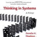 Cover Art for 9781844077250, Thinking in Systems by Diana Wright, Donella H. Meadows