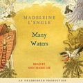 Cover Art for 9780739371992, Many Waters by Madeleine L'Engle