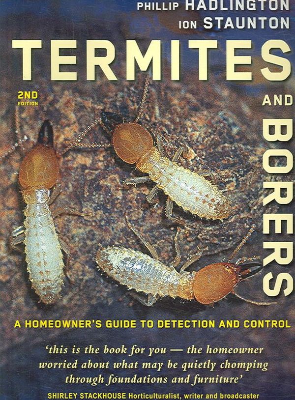 Cover Art for 9780868408279, Termites and Borers by Phillip Hadlington, Ion Staunton
