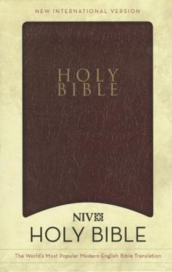 Cover Art for 0025986618995, NIV Holy Bible by Zondervan Staff