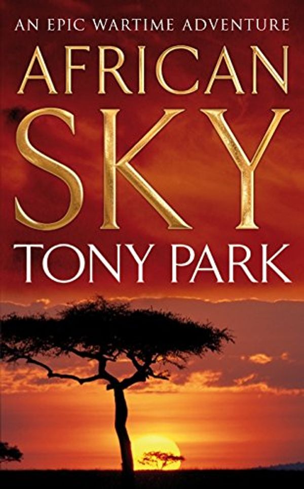 Cover Art for 9780330448857, African Sky by Tony Park