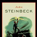 Cover Art for 9780140049978, East of Eden by John Steinbeck