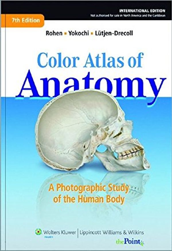 Cover Art for 9783794527076, Color Atlas of Anatomy - international edition by Johannes W. Rohen, Chihiro Yokochi, Lütjen-Drecoll, Elke, Elke Lütjen- Drecoll