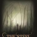 Cover Art for 9780575085497, The Steel Remains by Richard Morgan