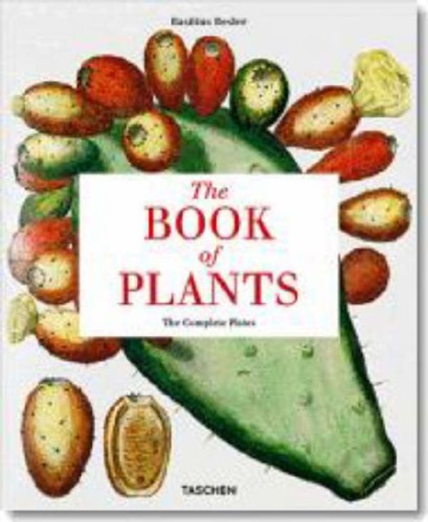 Cover Art for 9783822838099, The Book of Plants by Besler, Basilius, Littger, Klaus W., Dressendörfer, Werner