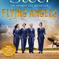 Cover Art for 9781529021783, Flying Angels by Danielle Steel
