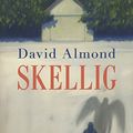 Cover Art for 9788893815215, Skellig by David Almond