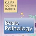 Cover Art for 9780721651224, Basic Pathology by Vinay Kumar