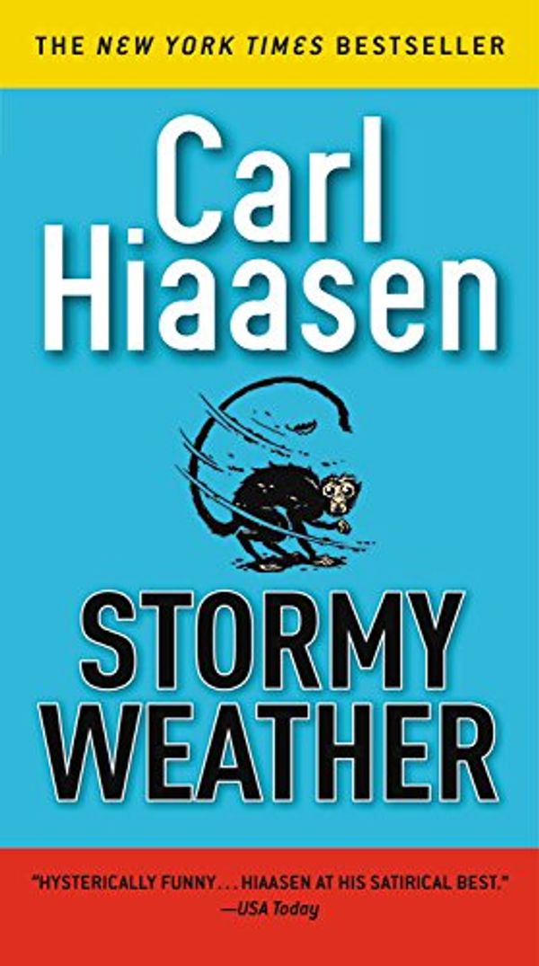 Cover Art for 9781538729571, Stormy Weather by Carl Hiaasen