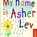 Cover Art for 9780795331381, My Name Is Asher Lev by Chaim Potok