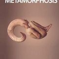 Cover Art for 9783735790422, Metamorphosis by Franz Kafka