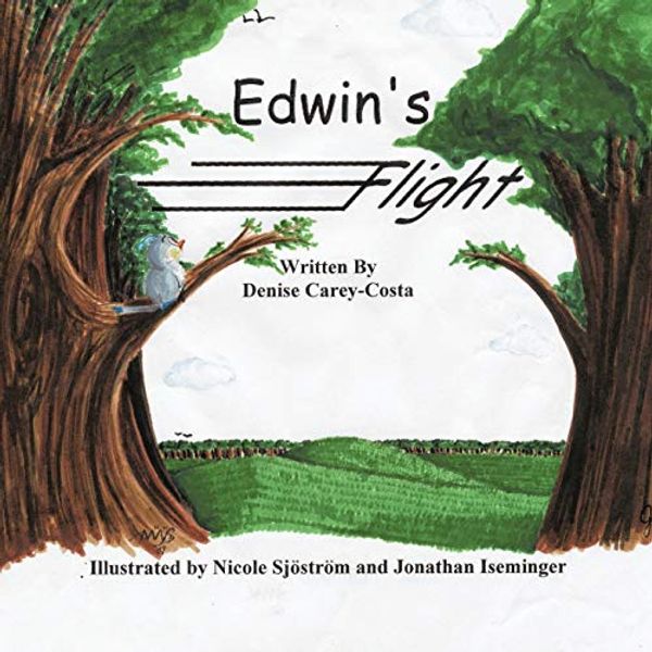 Cover Art for 9781426922176, Edwin's Flight by Denise Carey-Costa