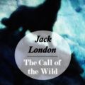 Cover Art for 1230001038392, The Call of the Wild by Jack London