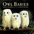Cover Art for 9780613747806, Owl Babies by Martin Waddell
