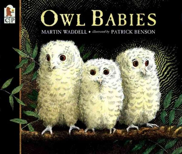 Cover Art for 9780613747806, Owl Babies by Martin Waddell