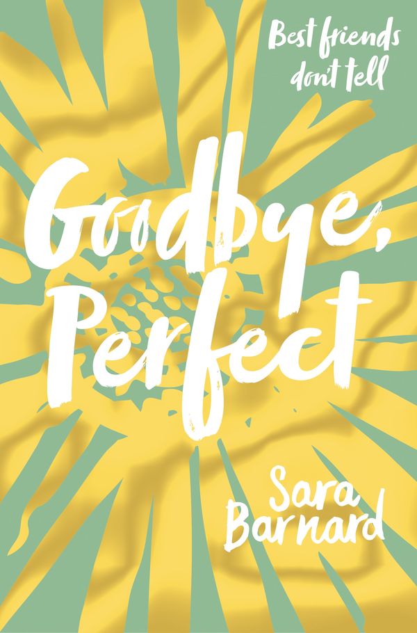 Cover Art for 9781509852864, Goodbye, Perfect by Sara Barnard
