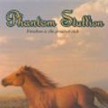 Cover Art for 9780061889295, Phantom Stallion #7: Desert Dancer by Terri Farley