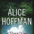 Cover Art for 9781441812636, The River King by Alice Hoffman