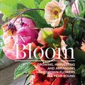Cover Art for 9781620083291, In Bloom by Clare Nolan