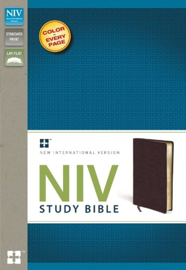 Cover Art for 9780310437444, NIV Study Bible by Zondervan