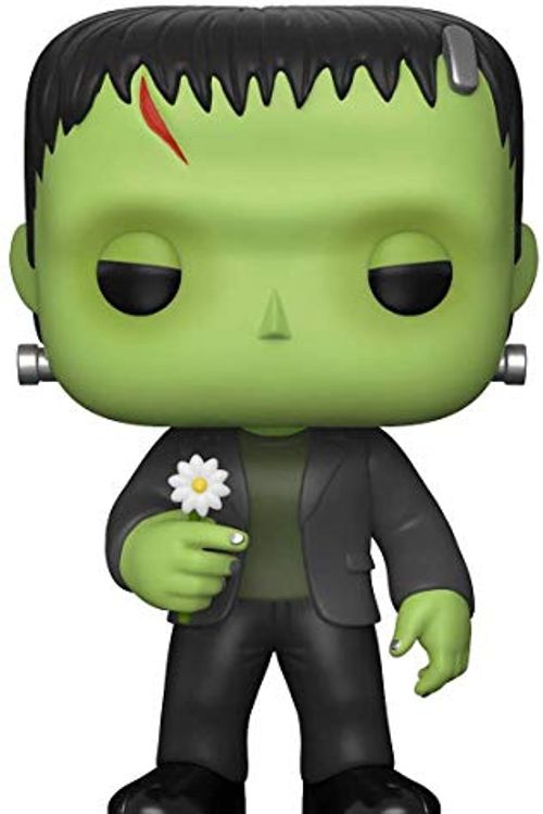 Cover Art for B07H52ZRF6, Funko Pop Movies: Frankenstein with Flower Collectible Figure, Multicolor by Unknown