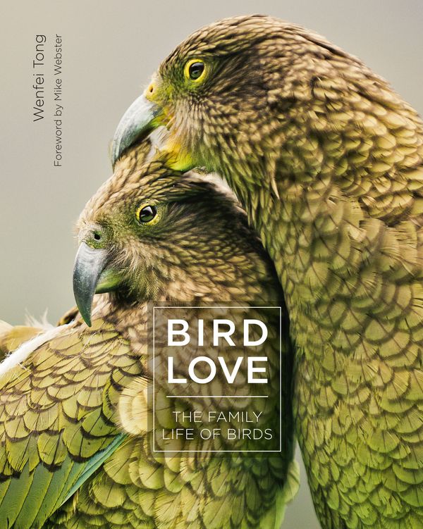 Cover Art for 9781782407485, Bird Love: The Family Life of Birds by Wenfei Tong