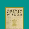 Cover Art for 9781852307868, Encyclopaedia of Celtic Wisdom: Celtic Shaman's Sourcebook by Caitlin Matthews