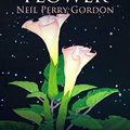 Cover Art for B07NPRQL17, Moon Flower: A seventeenth century tale of a young man's search for the Great Spirit. by Neil Perry Gordon